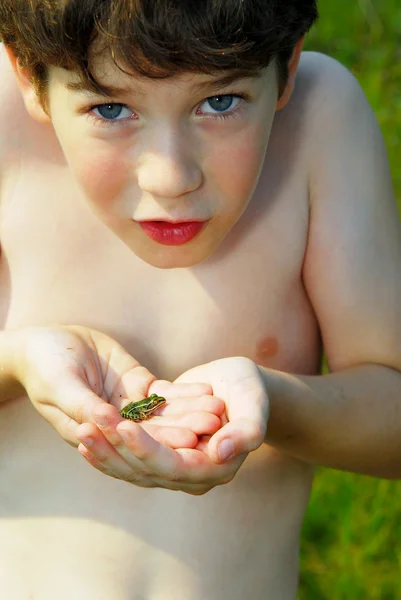 Boy holding a frog — Stock Photo, Image