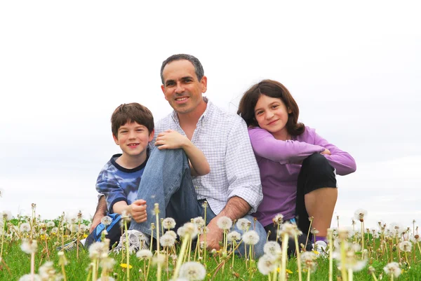 Retrato Uma Família Feliz Três Grama Verde — Fotografia de Stock