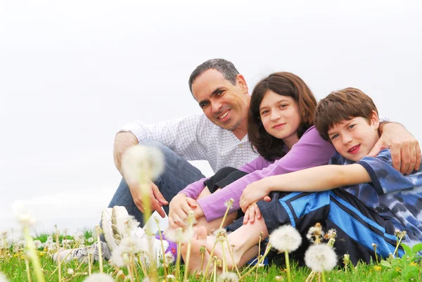 緑の芝生の上の つの幸せな家族の肖像画 — ストック写真