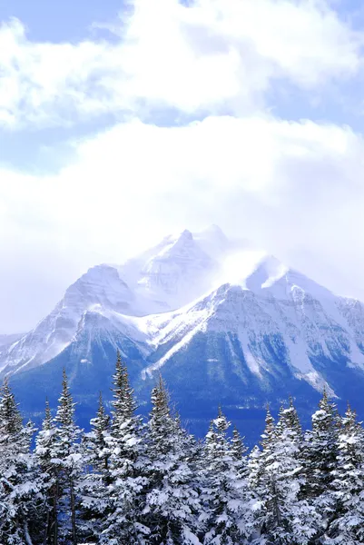 Snowy mountain Stock Image