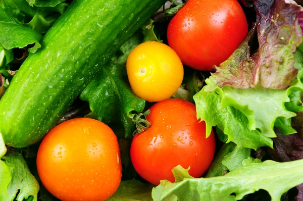 Frisches Gemüse Stockfoto