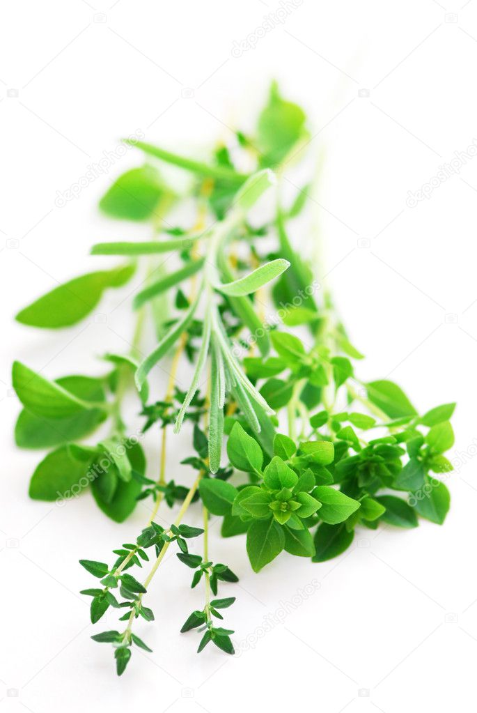 Bunch of fresh assorted herbs on white background (basil, thyme, oregano, rosemary)