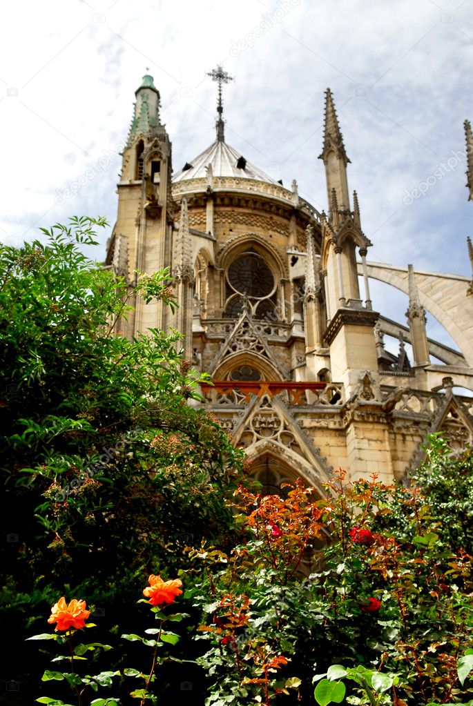 Notre Dame de Paris, gaden view with blooming roses