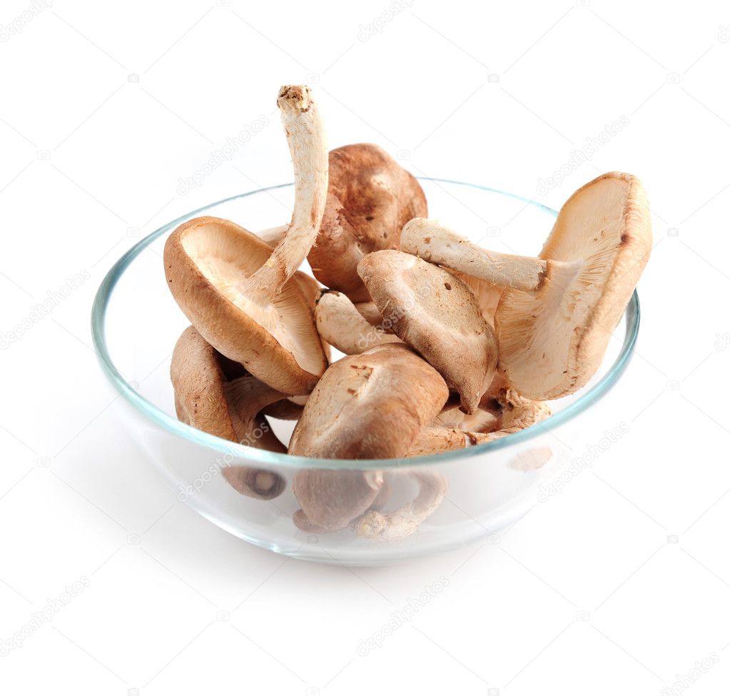 Fresh shiitake mushrooms in a glass bowl isolated on white background