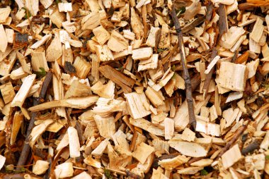 Background of freshly made yellow wood chips clipart