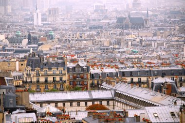 Scenic view on Paris rooftops and cathedrals clipart