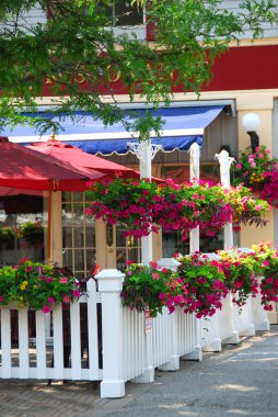 güzel Restoran veranda mor petunya çiçeği kutuları ve sepetleri ile dekore edilmiştir.