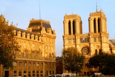 Notre dame de Paris