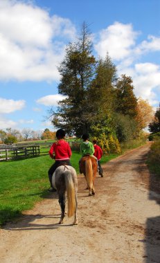 Children riding ponies on a countryside road clipart