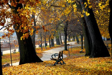 Sonbahar Parkı