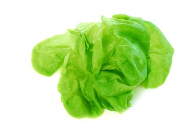 Head of green fresh boston lettuce isolated on white background clipart