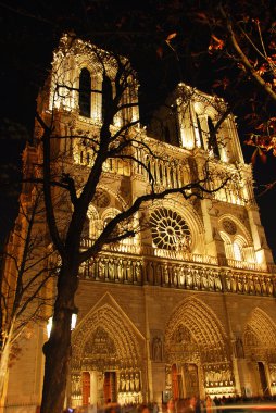 Cathedral of Notre Dame de Paris at night clipart