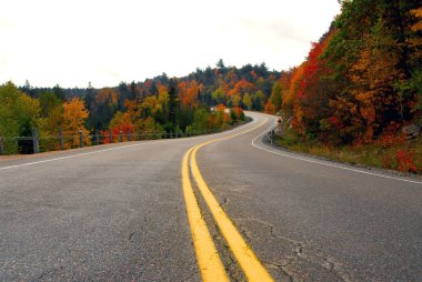 Fall highway clipart