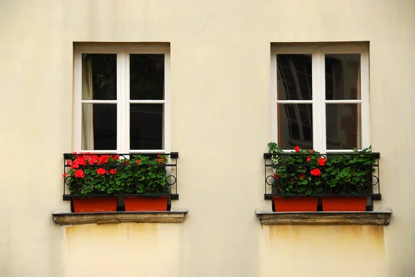 Fenster mit Pflanzgefäßen — Stockfoto