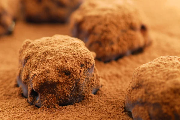 Macro Foto Van Donkere Chocolade Truffels Bestrooid Met Cacaopoeder — Stockfoto