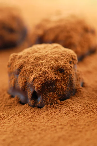 Truffes au chocolat — Photo