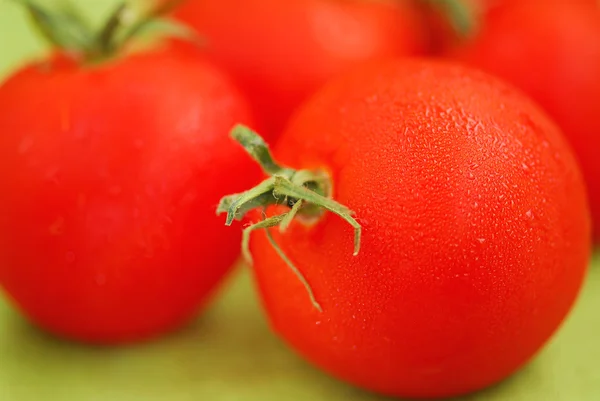 几个新鲜的露水番茄靠绿色背景 — 图库照片