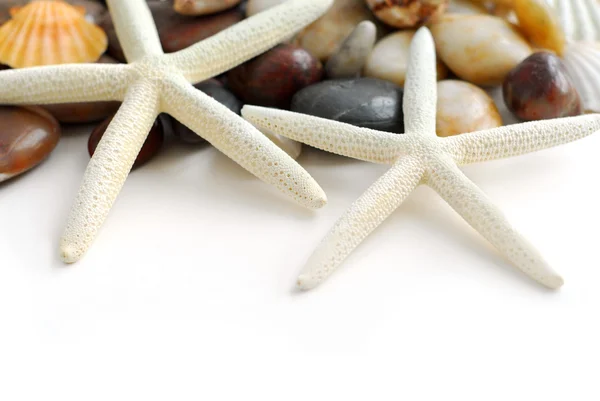 Морские Звезды Галька Ракушки Белом Фоне — стоковое фото