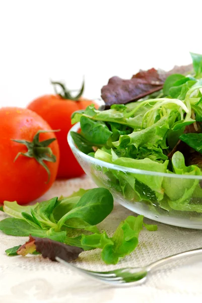 Baby greens and tomatoes — Stock Photo, Image
