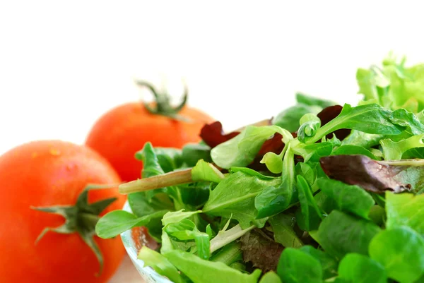 Verse Baby Groenen Salade Tomaten Witte Achtergrond — Stockfoto