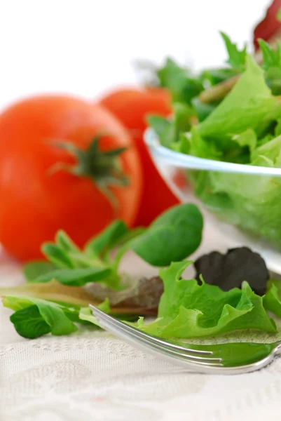 Baby greens and tomatoes — Stock Photo, Image