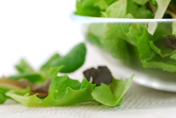 Salat Mit Frischem Babygrün Aus Nächster Nähe — Stockfoto