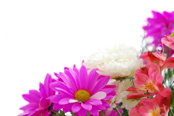 コピー領域の白い背景の上に新鮮な花の花束 — ストック写真