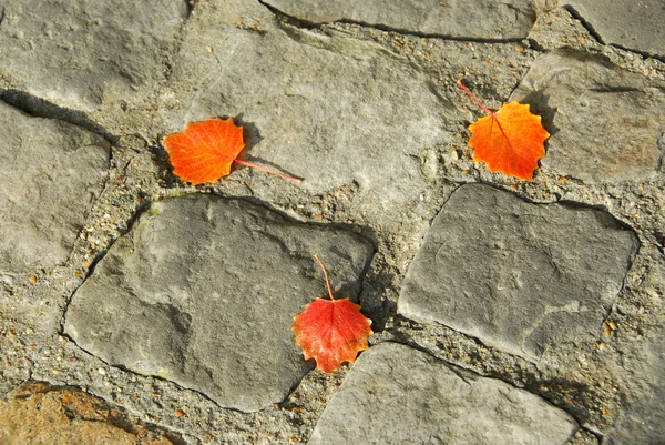 stock image Pavement