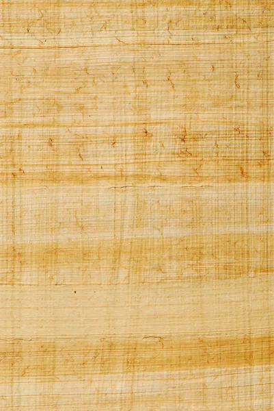 Doğal Papirüs Arka Plan — Stok fotoğraf