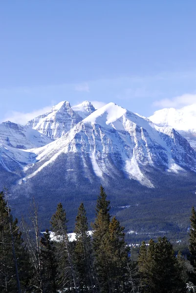 Paisaje Escénico Montaña Invierno Rockies Canadienses —  Fotos de Stock