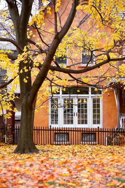 Жилой Дом Дерево Осенью — стоковое фото
