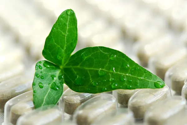 Herbal supplement — Stock Photo, Image