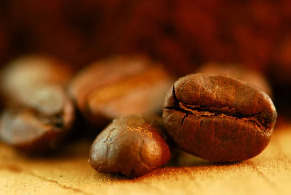 Extreme Macro Image Gourmet Coffee Beans — Stock Photo, Image