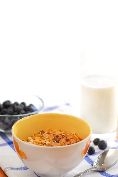 Healthy Breakfast Cereal Milk Blueberries Served Table Sunny Morning — Stock Photo, Image