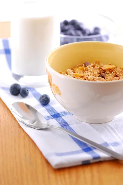 牛奶和蓝莓健康 Breaksfast — 图库照片