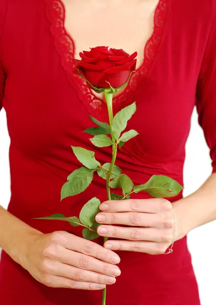 Woman rose — Stock Photo, Image