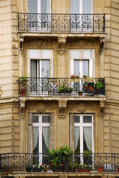 Paris windows — Stockfoto