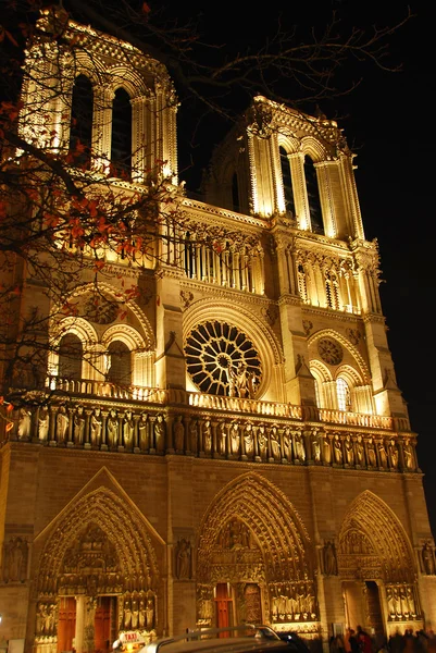 Kathedraal Van Notre Dame Paris Bij Nacht — Stockfoto