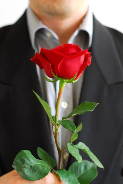 Людина Червона троянда — стокове фото