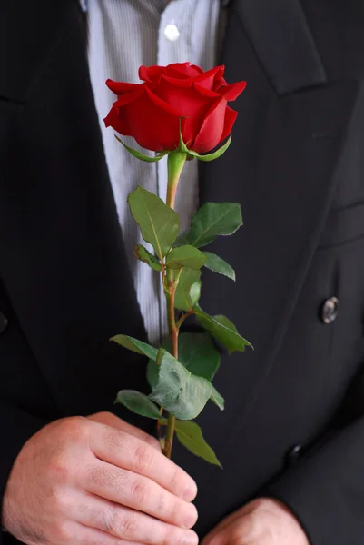 Człowiek czerwona róża — Zdjęcie stockowe