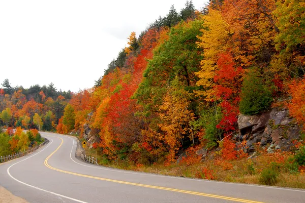秋天公路在北安大略省 加拿大 — 图库照片