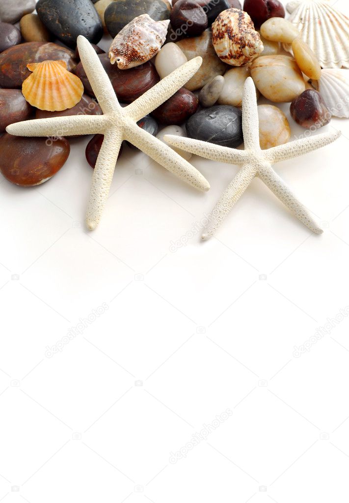 Starfish, pebbles and seashells on white background