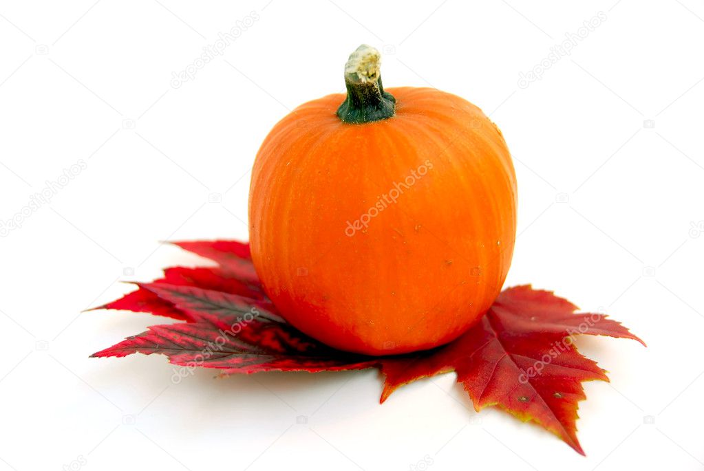 Mini pumpkin with autumn leaves on white background