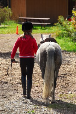 Young girl leading her pony back to the stable clipart