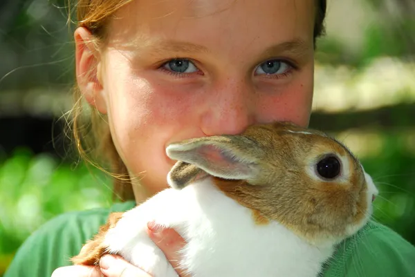 Tavşanlı kiremit — Stok fotoğraf