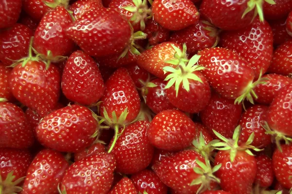 stock image Strawberry in market