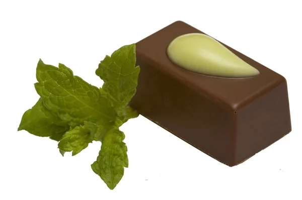 与薄荷，孤立的巧克力糖果 — 图库照片