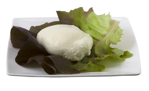 Моцарела с зеленым салатом, изолированный — стоковое фото