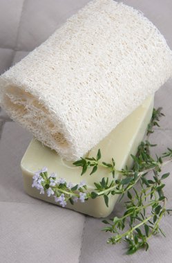 Natural lufah sponge wlth thyme soap clipart