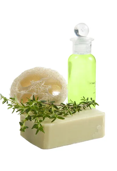 Луффа губка, мыло из тимьяна и шампунь — стоковое фото